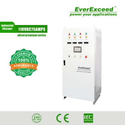 標準グリッド/PV Everexceed 1 相または 3 相変電所バッテリー充電器メーカー